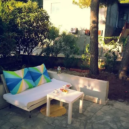 Holiday Pini 수페타르