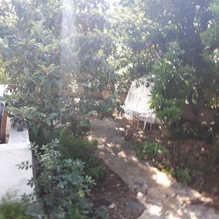 Holiday Pini 펜션 수페타르