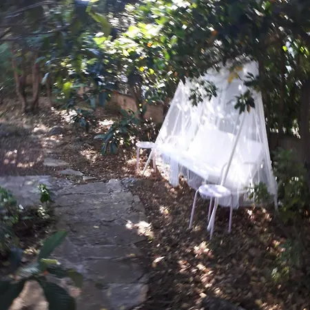 Holiday Pini 펜션 수페타르